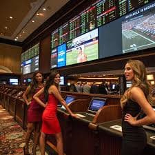 mc899 Sportsbook Odds Market အမျိုးအစားများ
